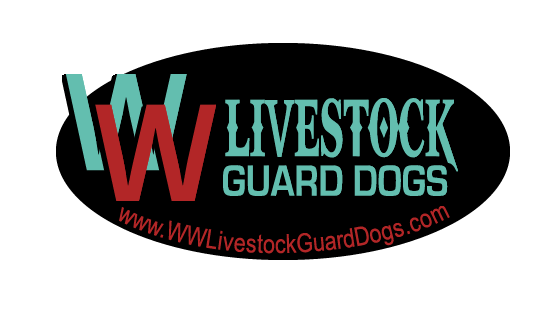 ww livestock guard dogs
